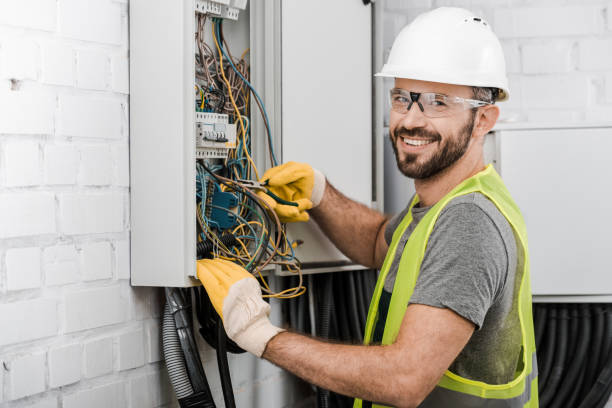 Best Ceiling Fan Installation Electrician  in Rhinelander, WI
